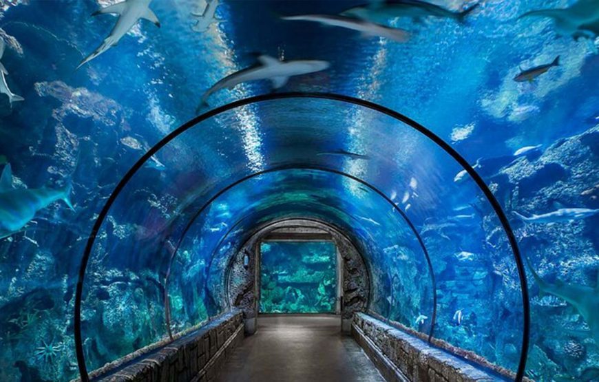 Aquarium Hurghada