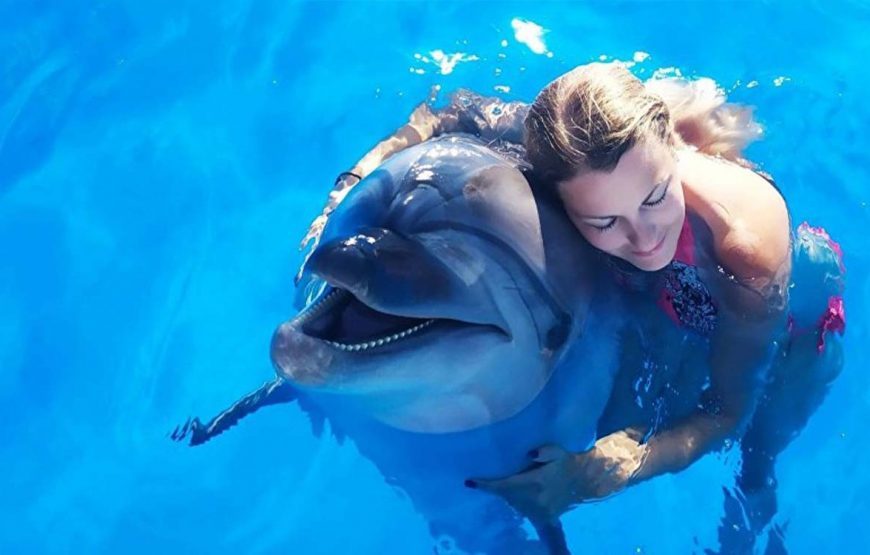 Photo shoot with dolphins