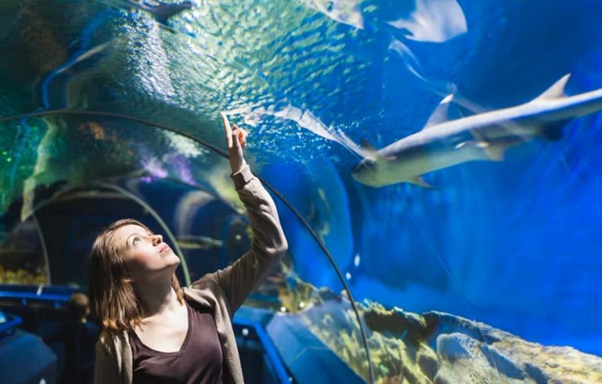 Aquarium Hurghada