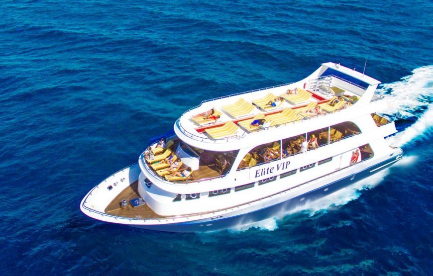 VIP Elite Cruise