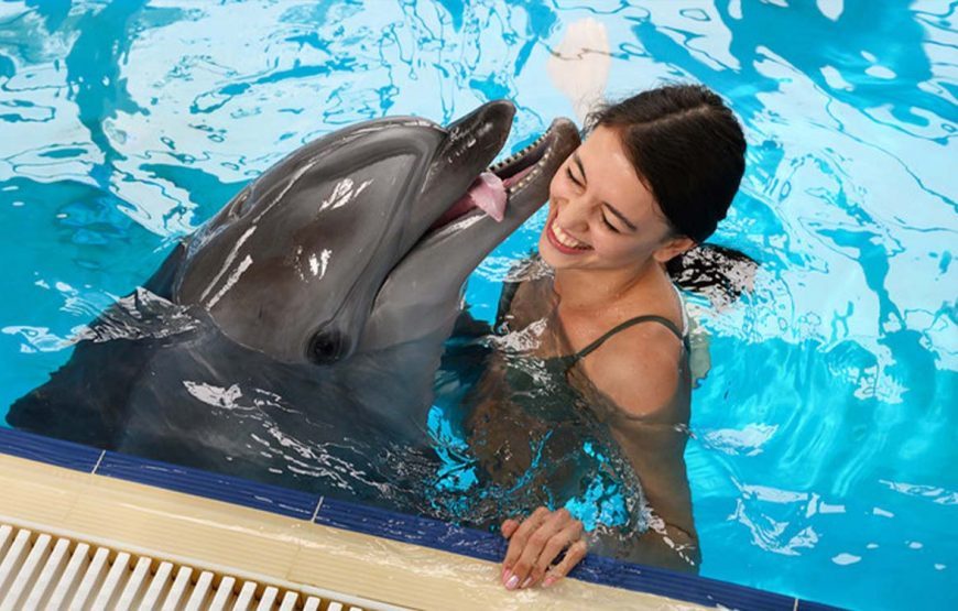 Photo shoot with dolphins