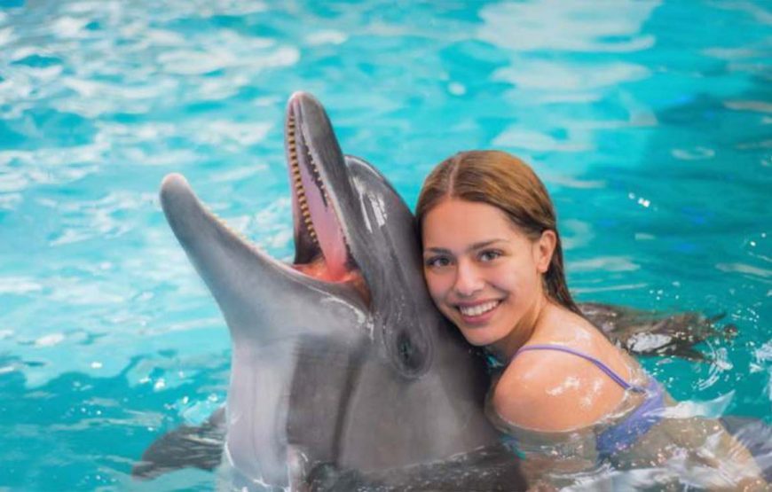 Photo shoot with dolphins