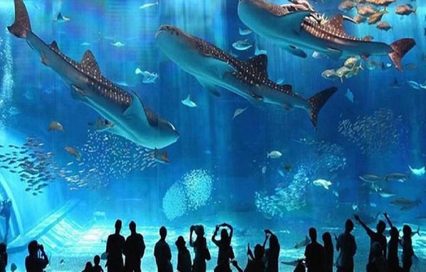 Aquarium Hurghada