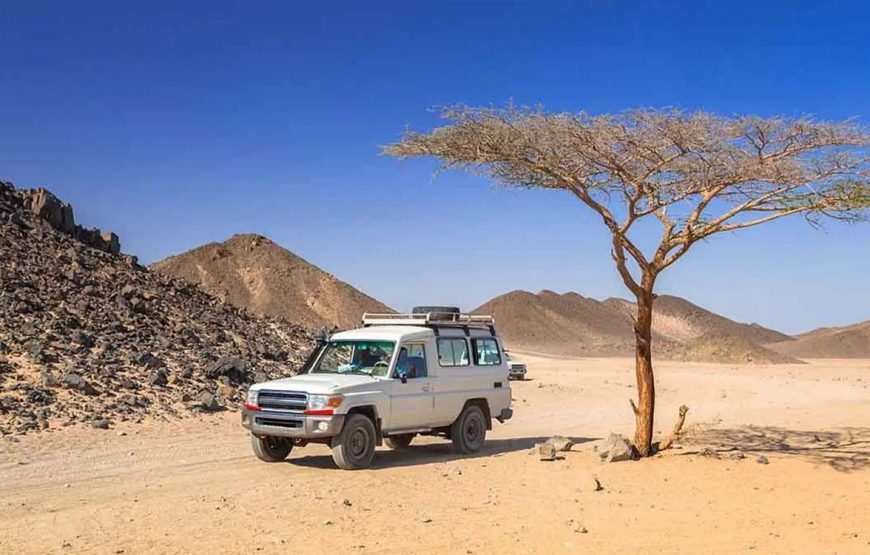 safari marsa alam – Super Desert Safari Marsa Alam