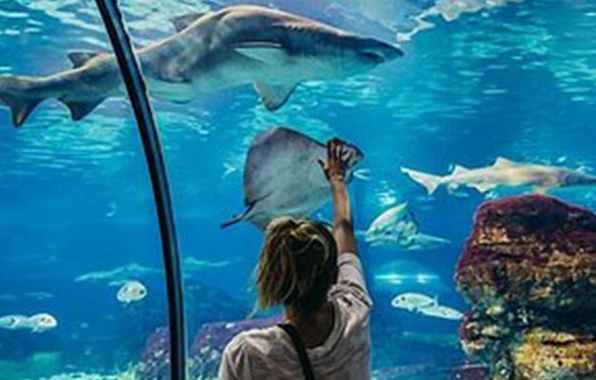 Aquarium Hurghada