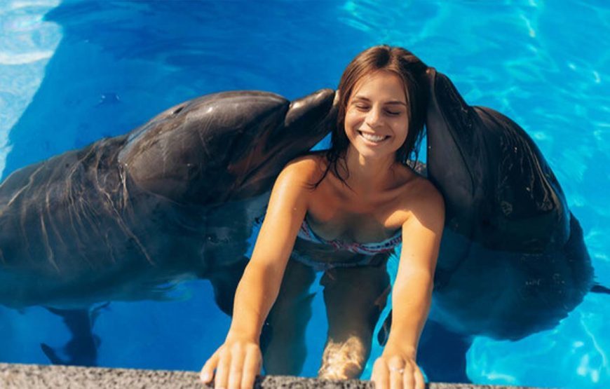 Photo shoot with dolphins