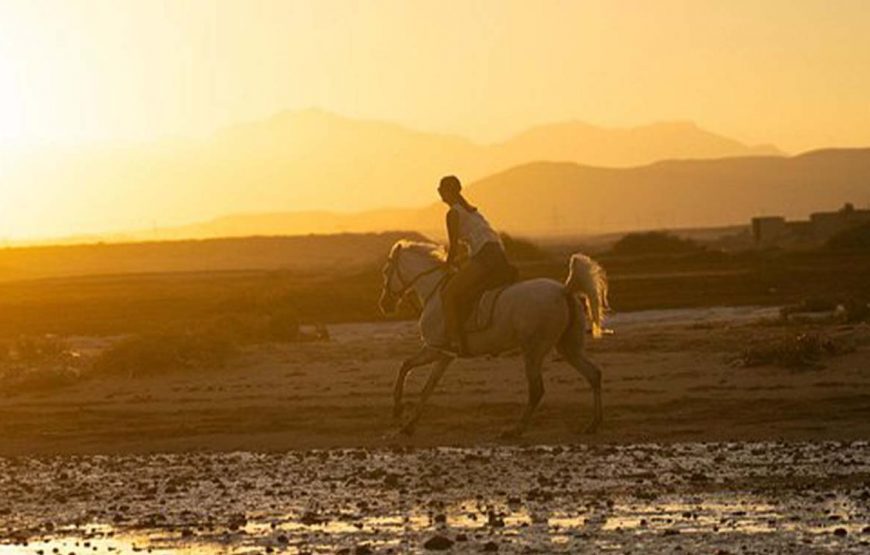 Horse riding