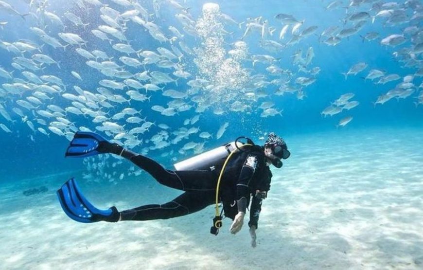 Coral Garden Cruise