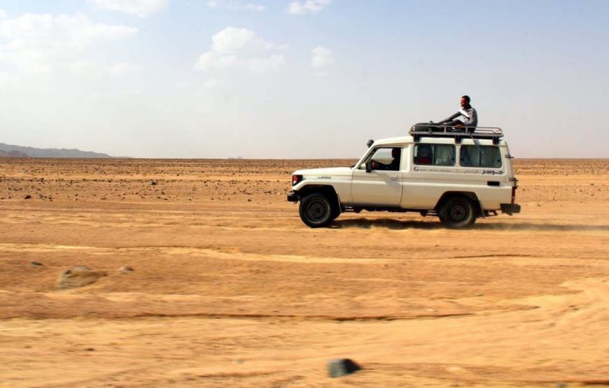 safari marsa alam – Super Desert Safari Marsa Alam